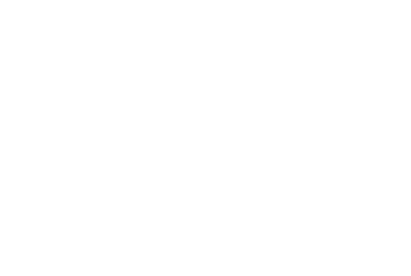 Henley Fencing